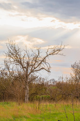 Similar image 21343046