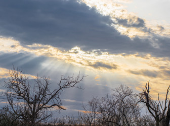 Similar image 21339669