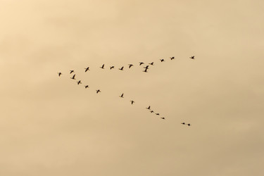 Similar image 21343047