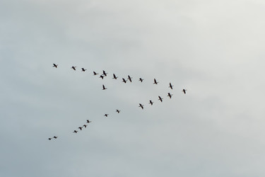 Similar image 21338128