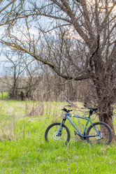 Similar image 21339679