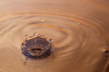 Similar image 21343050