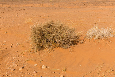 Similar image 21335669