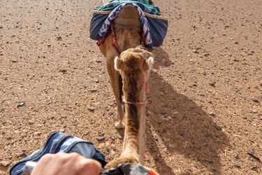 Similar image 21335685