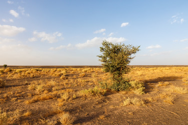 Similar image 21335686