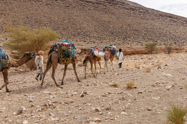 Similar image 21335694