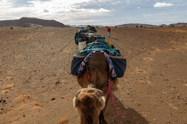 Similar image 21335757