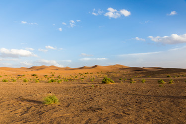 Similar image 21335700