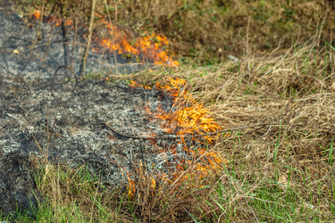 Similar image 21343052