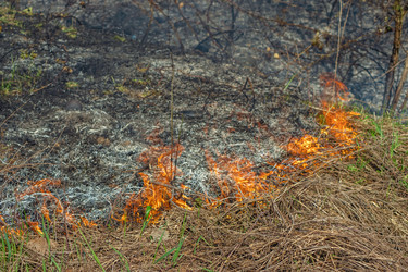 Similar image 21340908