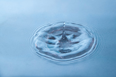 Similar image 21339684