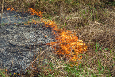 Similar image 21339185