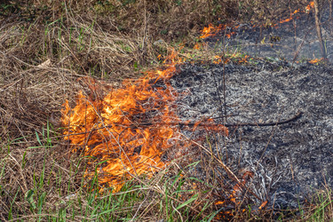 Similar image 21338137