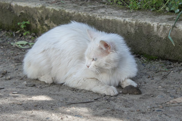 Similar image 21338138