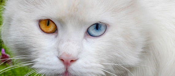 Similar image 21339686