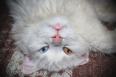 Similar image 21338139