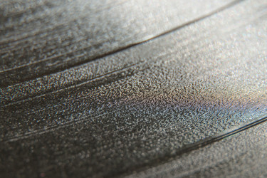 Similar image 21338142