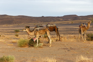 Similar image 21335764