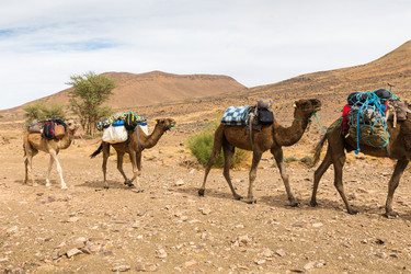 Similar image 21335709