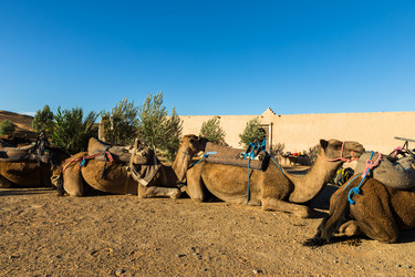 Similar image 21335722