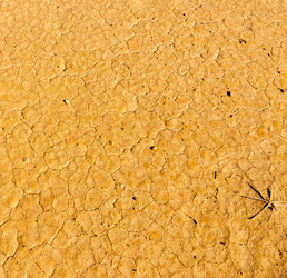 Similar image 21335728