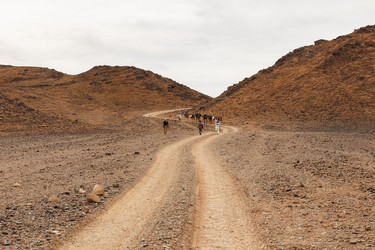 Similar image 21335741