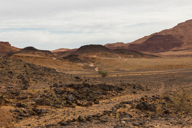 Similar image 21335773