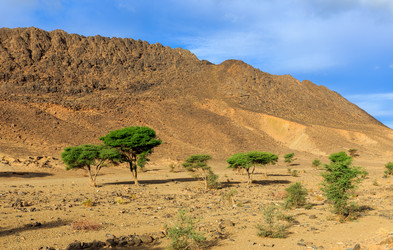 Similar image 21335777