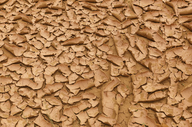 Similar image 21335792