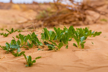 Similar image 21335795