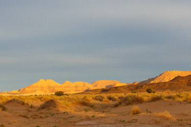 Similar image 21335806