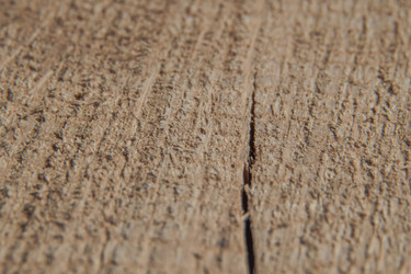 Similar image 21340912