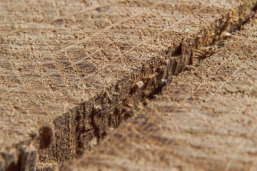 Similar image 21339196