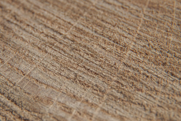 Similar image 21339691