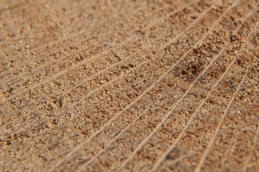 Similar image 21339197