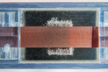 Similar image 21339199