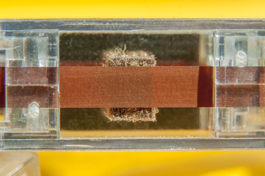 Similar image 21338145