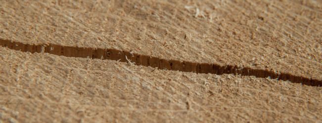 Similar image 21343053