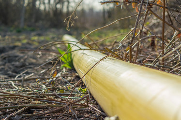 Similar image 21339207