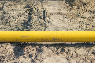 Similar image 21338151