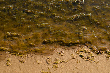 Similar image 21338977