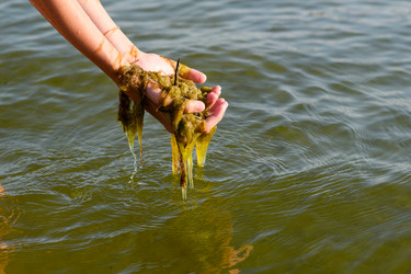 Similar image 21338978