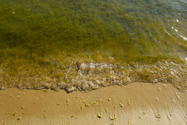 Similar image 21340100