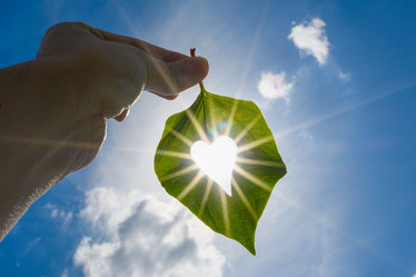 Similar image 21340102