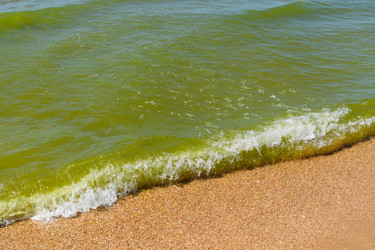 Similar image 21339815