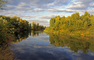 Similar image 21337558