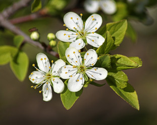 Similar image 21337559