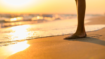 Similar image 21337560