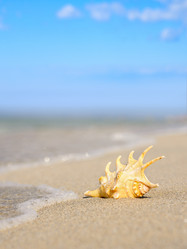 Similar image 21336822