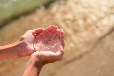 Similar image 21335911